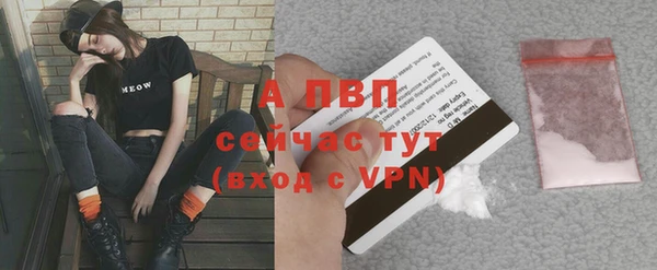 круглые Белокуриха