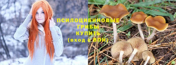 крисы Беломорск