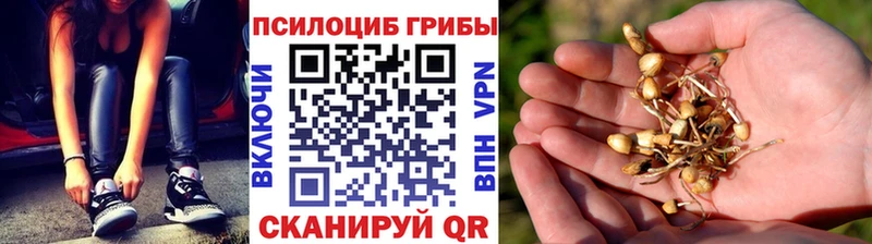 Псилоцибиновые грибы ЛСД  купить   Бикин 