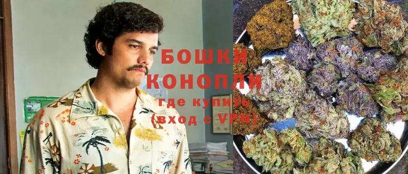 Бошки марихуана Ganja  где купить наркоту  Бикин 